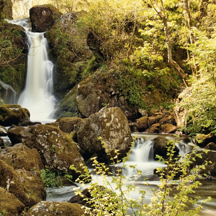 Devil's Glen - © leo