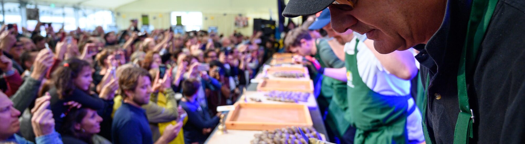 Galway International Oyster Festival - www.galwayoysterfestival.com