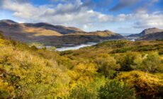 Vue sur le Muckross lake - © Aquarius
