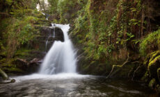 La O'Sullivan Cascade - Michael Foley - CC
