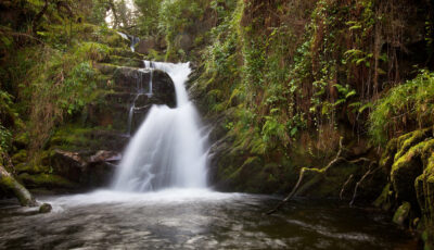 La O'Sullivan Cascade - Michael Foley - CC