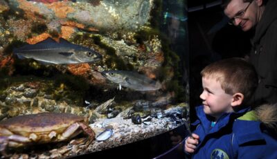 Le Riverwatch Aquarium - https://discovernorthernireland.com