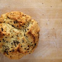 Un Spotted Dog – djwtwo – cc