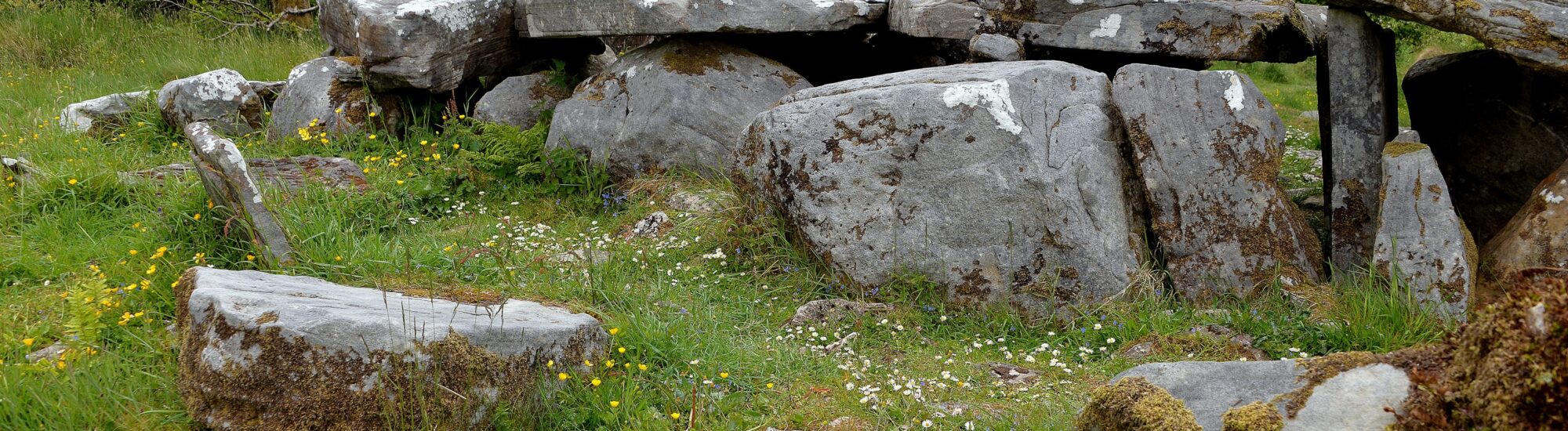 Le Cavan Burren Park - Keith Ewing - cc
