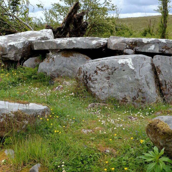 Le Cavan Burren Park - Keith Ewing - cc