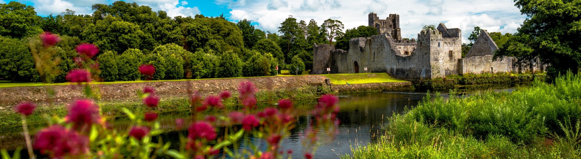 Le Desmond castle - © Lyd Photography