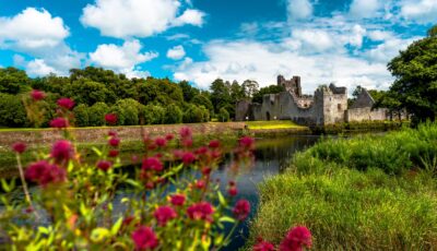 Le Desmond castle - © Lyd Photography