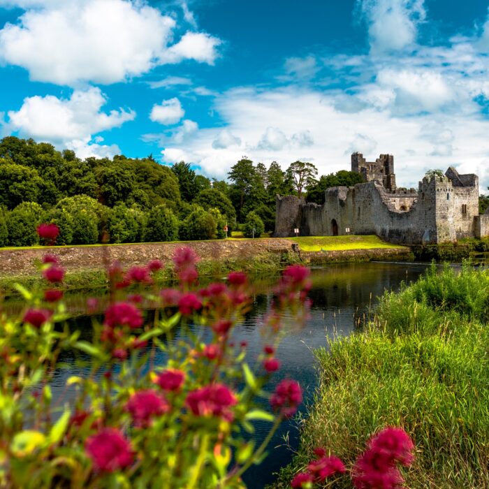 Le Desmond castle - © Lyd Photography