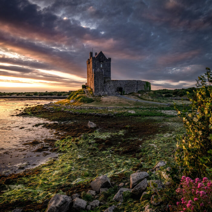 Le Dunguaire Castle de Kinvara - Bernd Thaller - cc