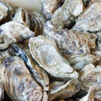 Des huîtres Hillsborough - Paul Asman and Jill Lenoble - cc