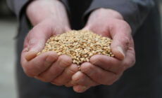 Aidez les agriculteurs locaux ! - Rural Matters - cc