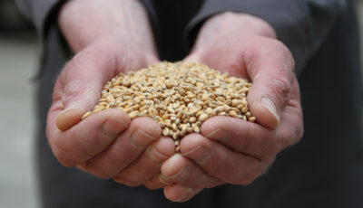 Aidez les agriculteurs locaux ! - Rural Matters - cc