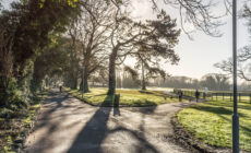 Malahide Park - William Murphy - cc