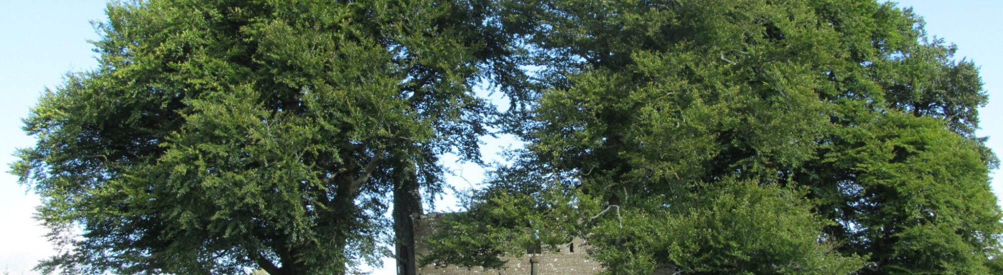 La Monaincha abbey - Keith Drummond - cc