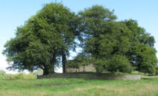 La Monaincha abbey - Keith Drummond - cc