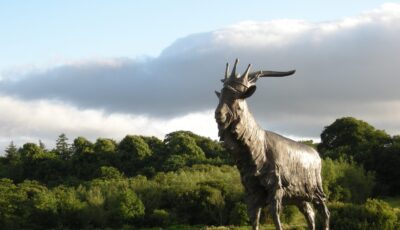 Le Puck Fair de Killorglin - IrishFireside - cc