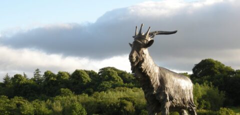 Le Puck Fair de Killorglin - IrishFireside - cc