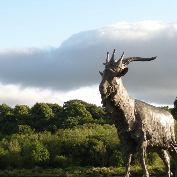 Le Puck Fair de Killorglin - IrishFireside - cc