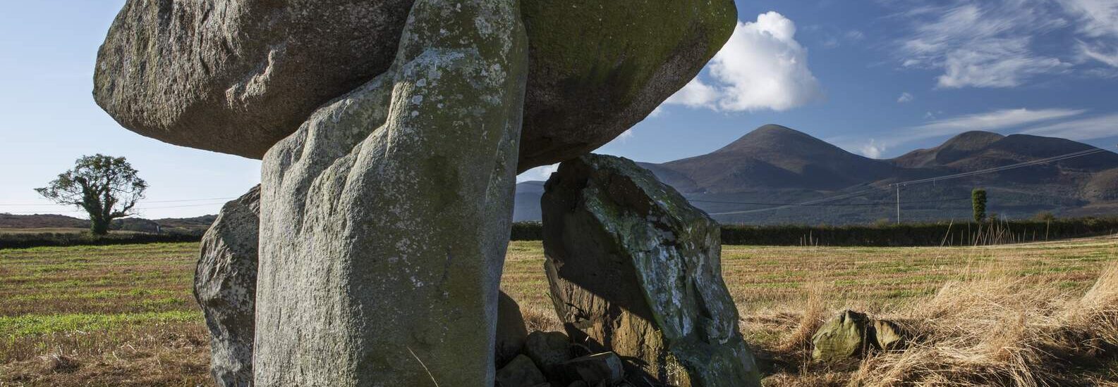 Le dolmen de Slidderyford - ©Tourism Ireland