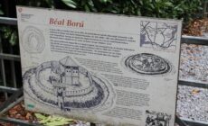 Le Beal Boru