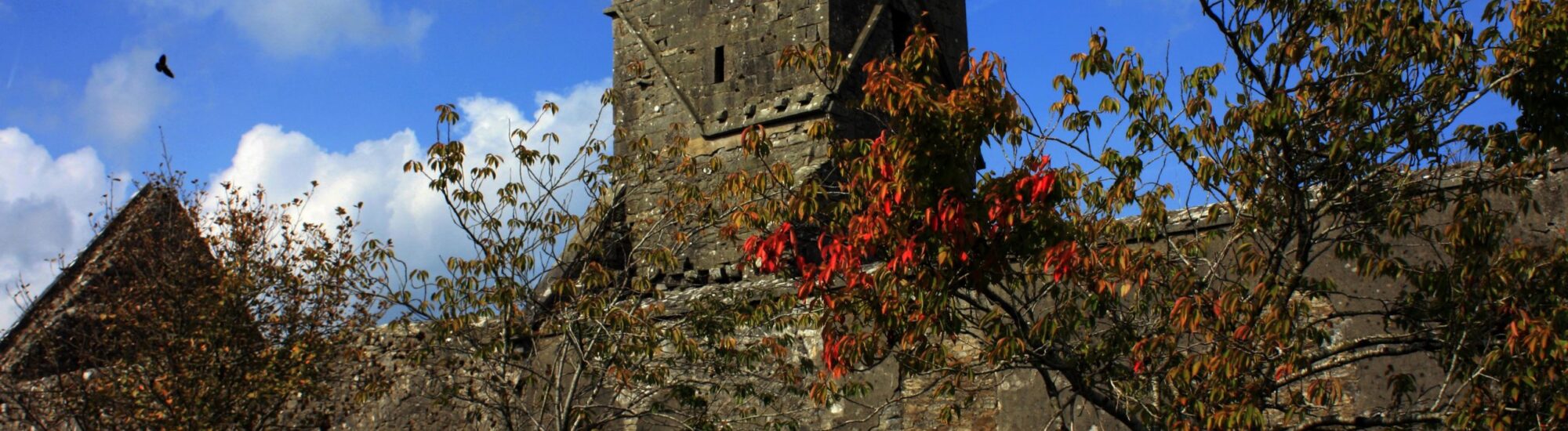 La Dunmore Abbey - <a href=