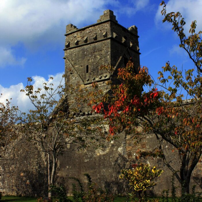 La Dunmore Abbey - DanielECDalton - cc