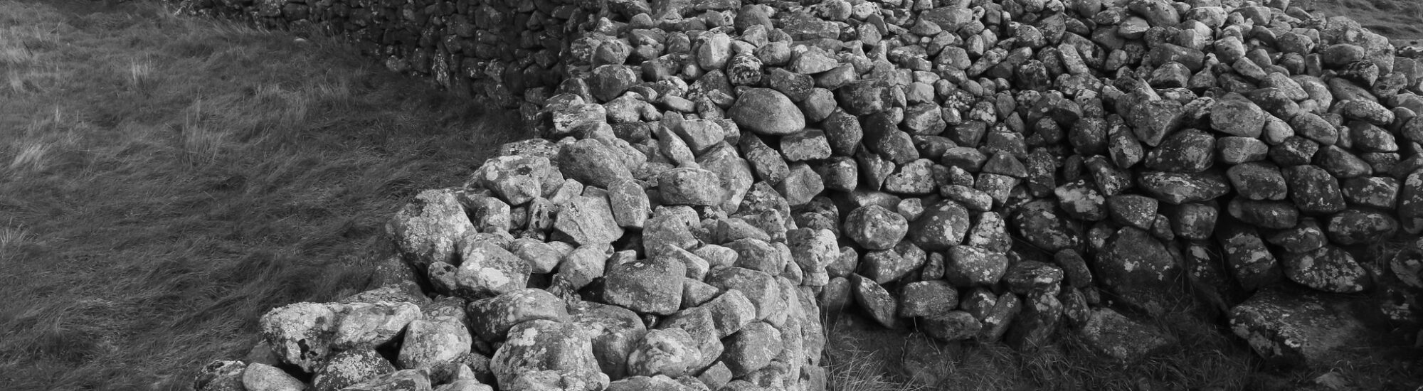 Le Rathgall Hillfort - nilachseall - cc