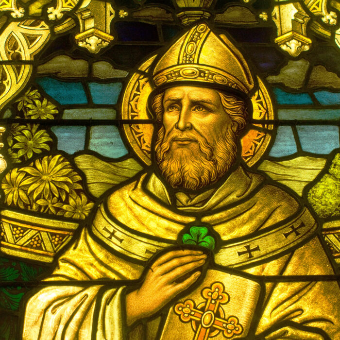 Saint-Patrick - Thad Zajdowicz - cc