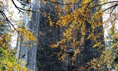 Le Dunsandle Castle