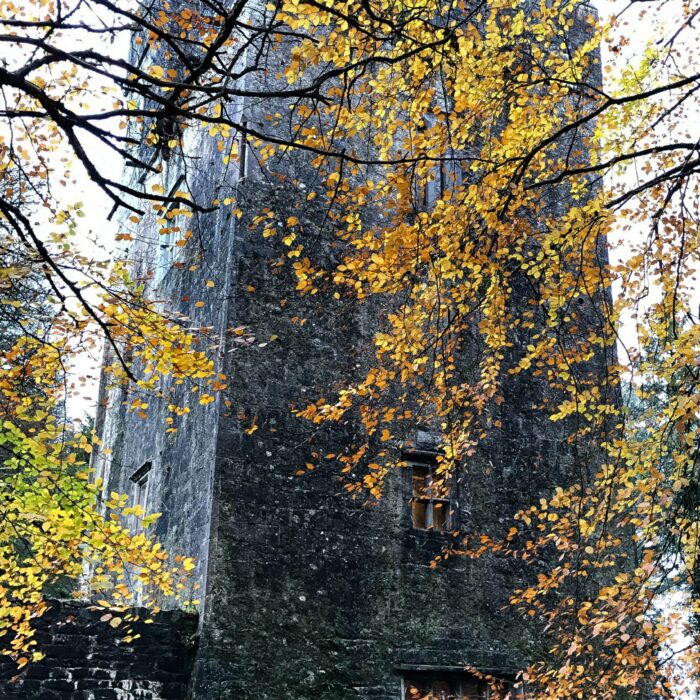 Le Dunsandle Castle