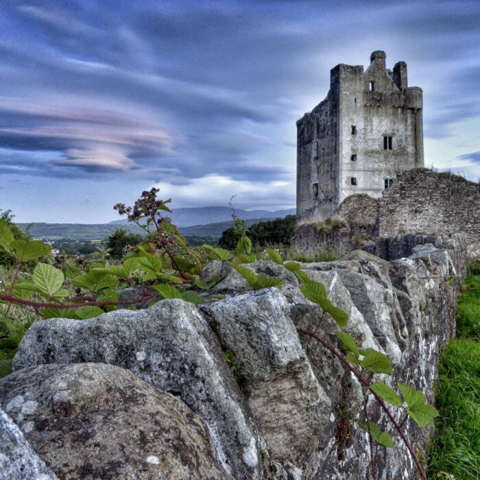 Le Kilcash Castle - joe ormonde