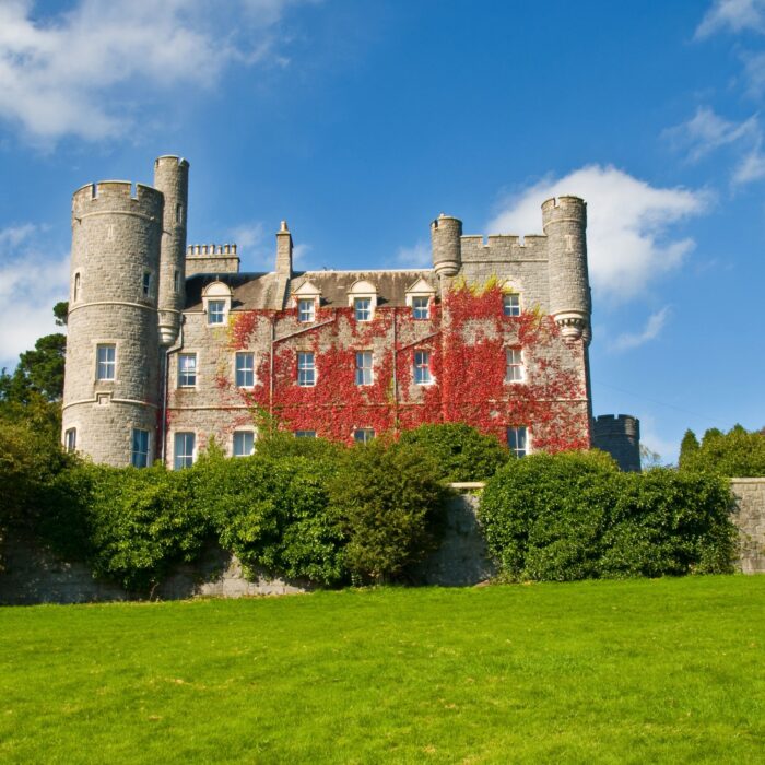 Le Castlewellan – The castle – cc