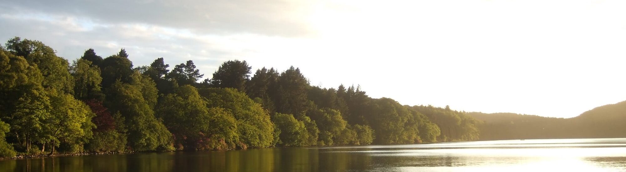 Le Castlewellan Park - Stephen Trew - cc