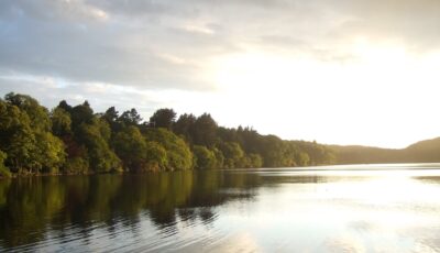 Le Castlewellan Park - Stephen Trew - cc