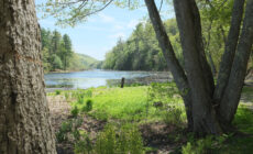 Innisfree - Iliazd - cc