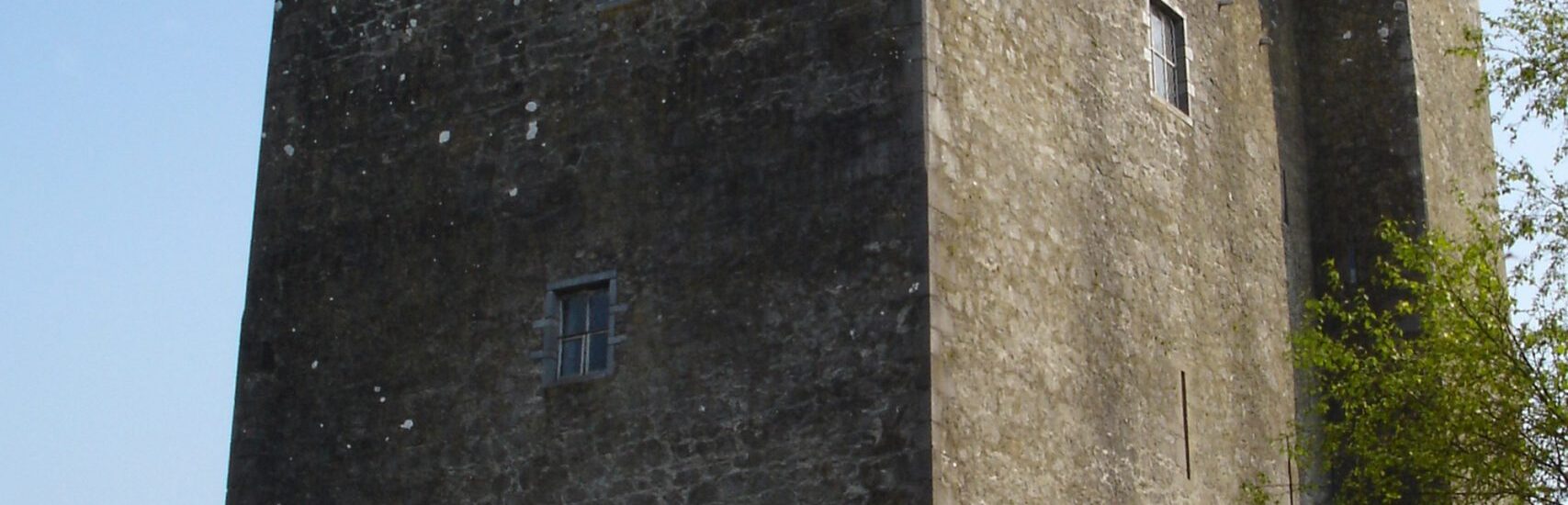 Le Redwood Castle - IrishFireside - cc