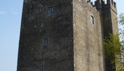 Le Redwood Castle - IrishFireside - cc