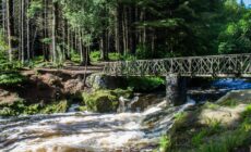 Tollymore Forest Park - Carb0nxl - cc