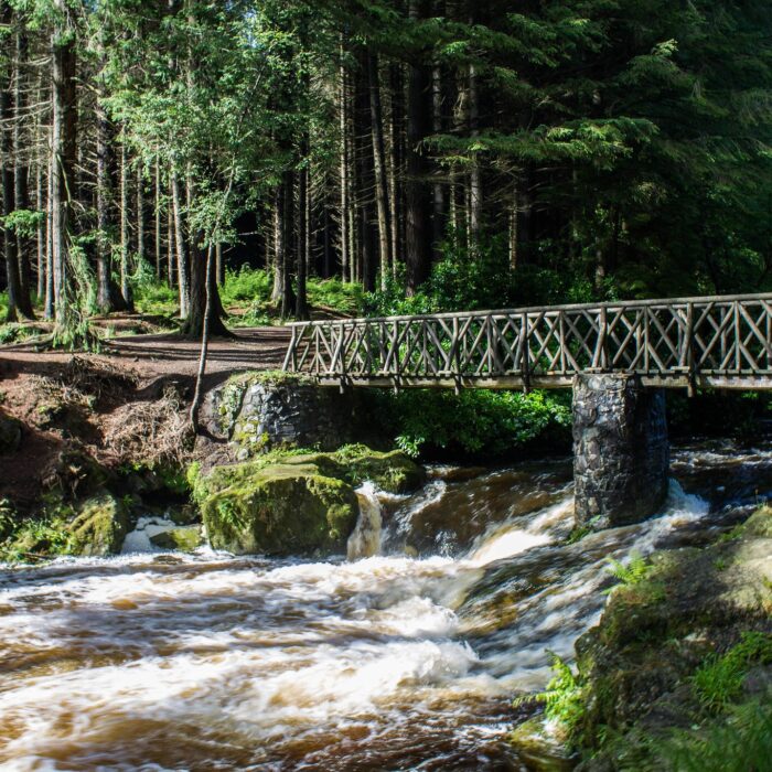 Tollymore Forest Park - Carb0nxl - cc