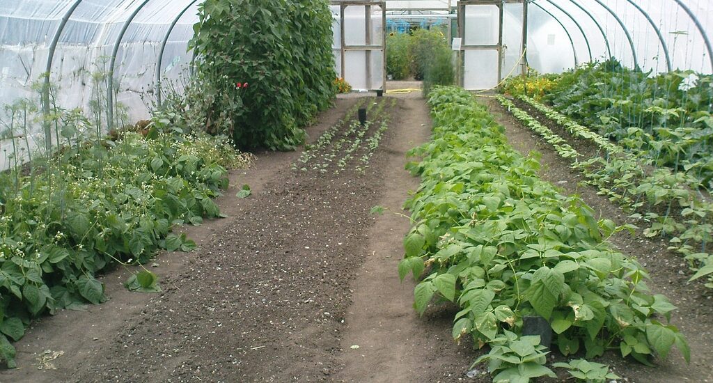 The Organic Centre de Rossinver