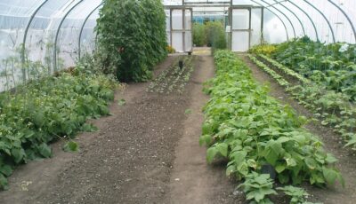 The Organic Centre de Rossinver - karenandkerry - cc