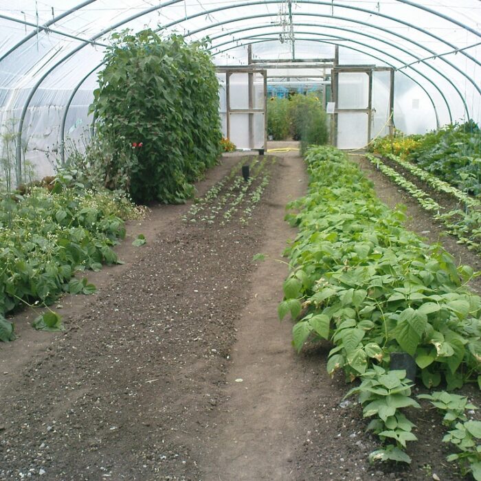 The Organic Centre de Rossinver - karenandkerry - cc