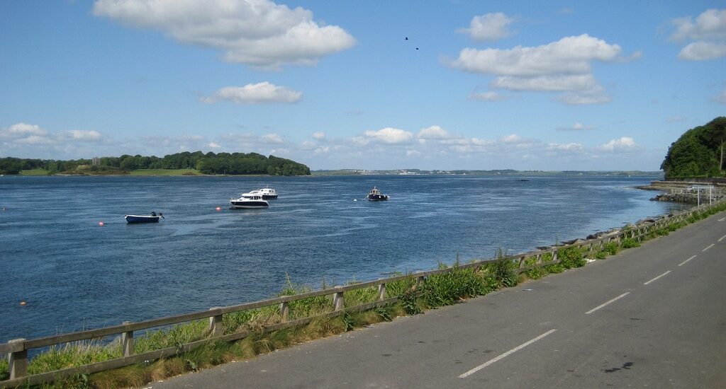 Le Strangford Lough Lookout