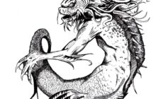 Un Merrow - DeviantArt