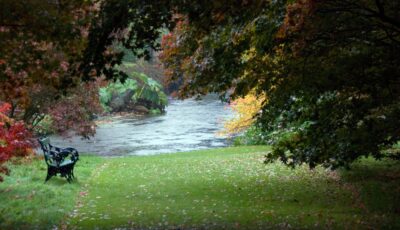 Les Mount Usher Gardens - Ben Crowe - cc