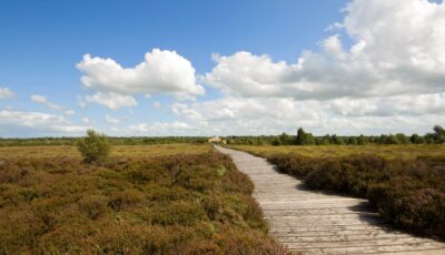 La tourbière de Corlea Bog - Kevin King - cc