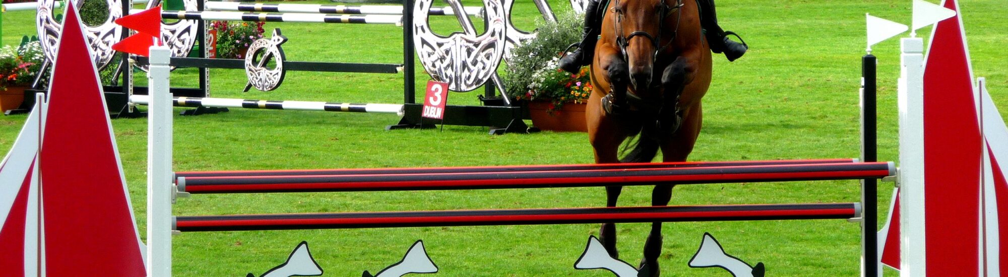 Le Dublin Horse Show - Alison Killilea - cc