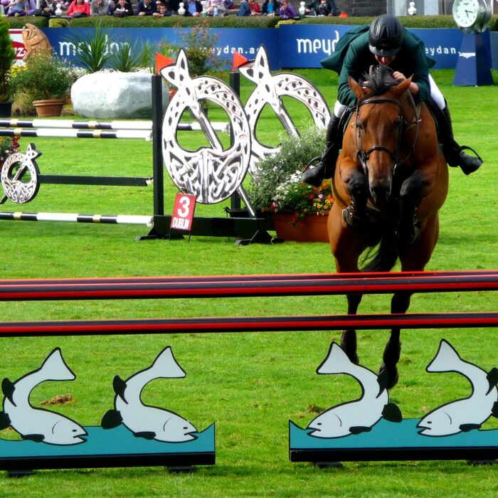 Le Dublin Horse Show Guide
