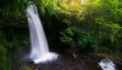 La Glencar waterfall – Tom Archer – cc