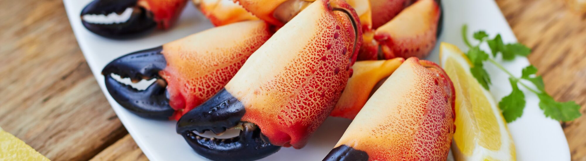 Des pinces de crabes - comeirrez - Shutterstock